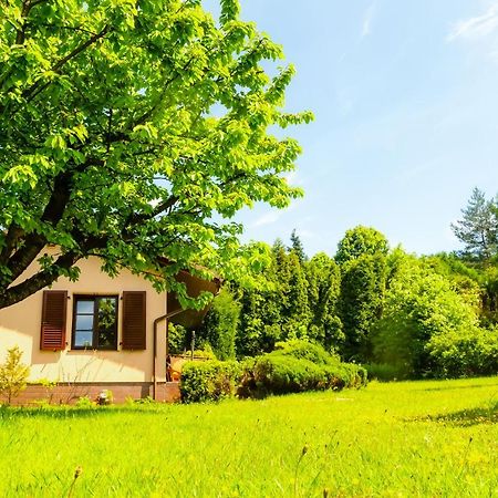 Sielankowy Domek W Gorach Villa Bielsko-Biała Eksteriør bilde